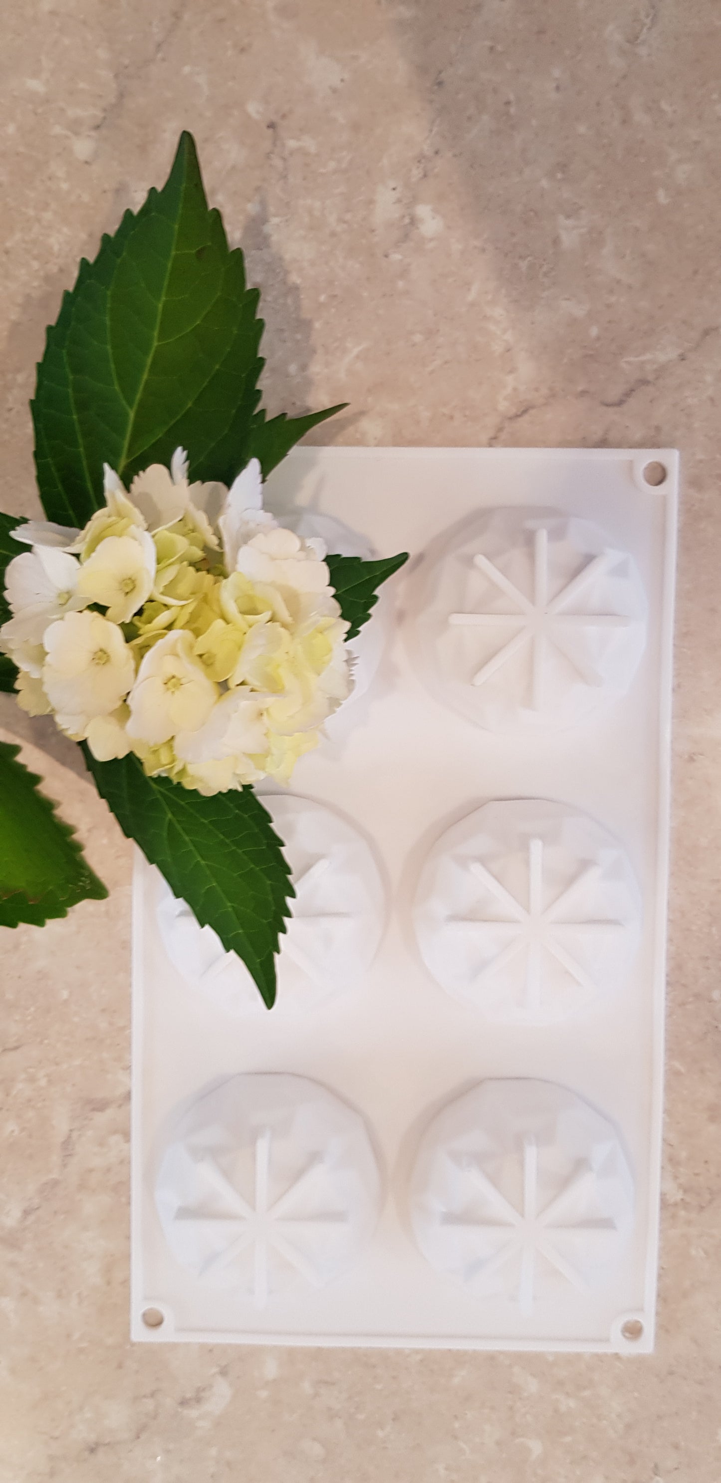 Crystal Cut Silicone Mould 6 cavity